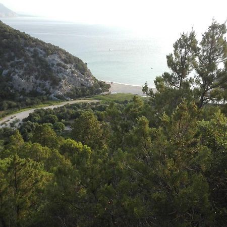 Monolocale Marizzola Daire Cala Gonone Dış mekan fotoğraf