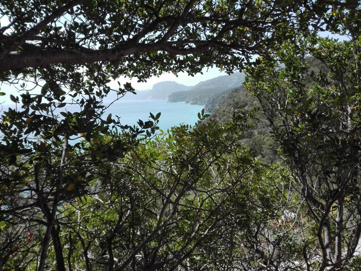 Monolocale Marizzola Daire Cala Gonone Dış mekan fotoğraf