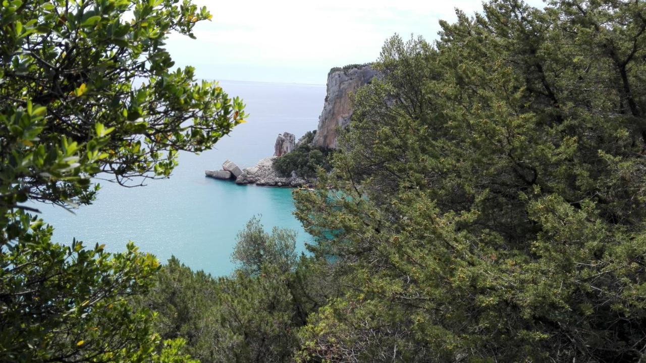 Monolocale Marizzola Daire Cala Gonone Dış mekan fotoğraf