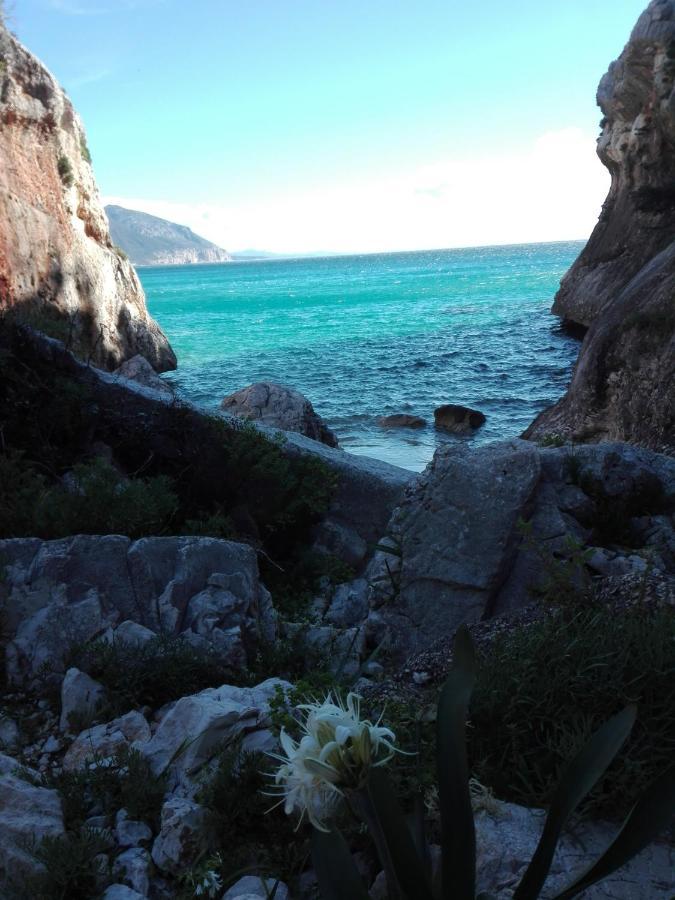 Monolocale Marizzola Daire Cala Gonone Dış mekan fotoğraf